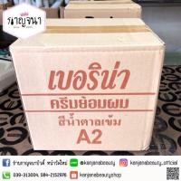 ราคา ครีมย้อมผมเบอริน่า "ยกโหล" สีน้ำตาลเข้ม A2 (1446363933)