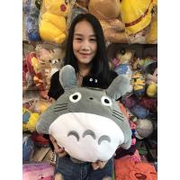 ราคา หมอนผ้าห่มโตโตโร่ ทรงตัวโตโตโร่ รุ่นตัวฝุ่นบนหัวดำเข้มเงาซุกมือได้ผ้าห่มสีเทา ราคา 400 บาท สินค้าลิขสิทธิ์แท้ค่ะ (6317182613)