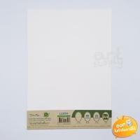 ราคา กระดาษรายงานถนอมสายตา Darling รุ่น LL8254 ขนาด A4 หนา 80 แกรม แพค 25 แผ่น (6007749500)