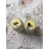 ราคา สีผึ้งมหาเสน่ห์ เน้นทางด้านเมตตามหานิยม (11503563718)