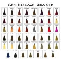 ราคา สีย้อมผมเบอริน่า/ ครีมเปลี่ยนสีผมเบอริน่าA40-A47 (9751503221)