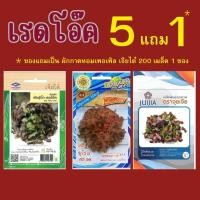 ราคา เมล็ดเรดโอ๊ค ซื้อ 5 แถม 1 (ของแถมเป็น ผักกาดหอมเพอเพิลเจียไต๋ 200 เมล็ด 1 ซอง) (29888099739)