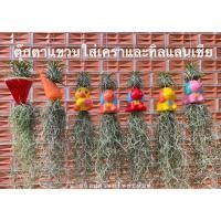 ราคา โมบายตุ๊กตาใส่ทิลแลนเซียและเคราฤาษี แขวนลวด (7732671628)