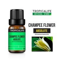 ราคา TROPICALIFE CHAMPEE FLOWER ABSOLUTE ดอกจำปี แอปโซลูท 10ml (1134371039)