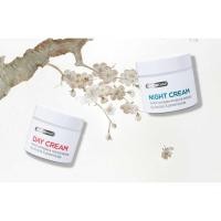 ราคา ❤️ไม่แท้คืนเงิน❤️ Dr.Somchai Day + Night Cream 40g X 2 ดร. สมชาย เดย์ & ไนท์ แพคคู่ (7731456645)