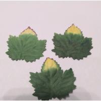 ราคา ใบไม้กระดาษสา ดอกกระดาษสา งานฝีมือ งาน DIY งาน handmade ประดิษฐ์ดอกไม้ ประดับบอร์ด (100ชิ้น/แพ็ค) (3397220279)