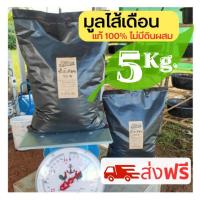 ราคา มูลไส้เดือนแท้ 100% ปุ๋ยมูลไส้เดือนส่งฟรี ขี้ไส้เดือน ดินปลูกต้นกล้า ปุ๋ยไส้เดือนบำรุงดิน (19177185625)