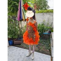 ราคา ชุดดรัมเมเยอร์ สีส้ม (24750363529)