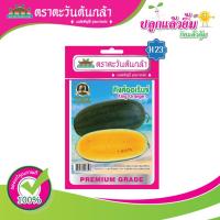 ราคา เมล็ดแตงโม คิงส์ออร์เร้นจ์ ตราตะวันต้นกล้า (21611898931)