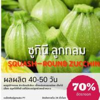 ราคา เมล็ดพันธุ์ ซูกินีลูกกลม 25 เมล็ด แตงชูกินี แตงกวาญี่ปุ่น F1 ✅ราคาถูกปลูกง่าย ปลูกไว้ทานกินเองซื้อ10แถม1 คละได้ (4995729824)