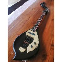 ราคา พิณโปร่งไฟฟ้า​ ทรงหยดน้ำ หัวหงส์​ สเปคสูง​ รุ่นคอนแทคเดียว (ทางร้านมีของแถมให้ครบชุด) จัดส่งรวดเร็ว รับประกันสินค้า (4956947858)