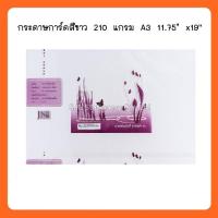 ราคา กระดาษการ์ด 210g A3 ขาว พิเศษ 11.75" x 19'' ( 2 แพ็ค ) (2174508067)