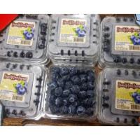ราคา TOP-1บลูเบอรี่นำเข้า Blueberry (USA/NZL/Peru/Chile) (1แพค) ~ลดพิเศษ~ Premium ที่สุดของบลูเบอร์รี่ บลูเบอรี่สด บลูเบอร์รี (13533229477)