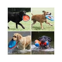 ราคา Petmate Petmate สัตว์เลี้ยงสุนัขจานร่อนกลางแจ้งลูกสุนัขการฝึกอบรมโกลเด้นรีทรีฟจานบินกัดทน Interactive ลอย Zha (40569565415)