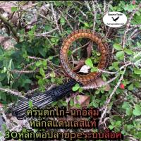 ราคา ครืนดักไก่ป่า ครืนดักนกอีลุ้ม สีดำหลักสแตนเลสแท้1ชุดมี30หลัก บ่วนดักไก่ บ่วนดักนก ครืนนกอีลุ้ม ครืนไก่ป่า ครืนดักนก (7940784951)