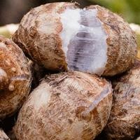 ราคา เจ้อเจียง จินฮวา ขุดสด ถั่วงอกสีแดง เผือกปากแดง เผือกขนาดเล็ก หอม เผือก ผงเหนียวนุ่ม ข้าวเหนียว ผักของตัวเอง 9.11 (42568485195)