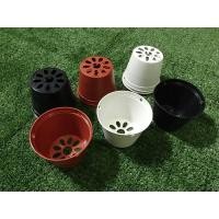 ราคา กระถางต้นไม้ กระถางพลาสติก 4 นิ้ว แพ็ค 100 ใบ สำหรับปลูกแคคตัส ปลูกต้นไม้ขนาดเล็ก (สีดำ/สีขาวครีม/สีอิฐ) (15914277752)