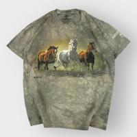 ราคา The Mountain T-shirt (มือสองของแท้) (40365785464)