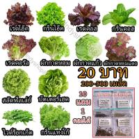 ราคา เมล็ดผักอินทรีย์ เมล็ดพันธุ์ผักสลัด เมล็ดผักสลัด 200-300 เมล็ด 20 บาท [10 แถม 1 คละได้] (8080884297)