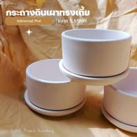 ราคา กระถางมินิมอล กระถางดินเผาทรงเตี้ย มาพร้อมจานรองสุดคุ้ม (14804479642)