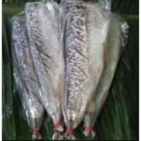 ราคา ปลาส้มพะเยา สด อร่อย.... (160613812)