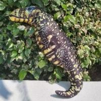 ราคา หมอนข้าง หมอนตัวเงินตัวทอง ขนาดความยาว 50 ซม. (6319097584)