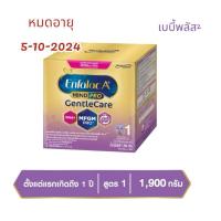 ราคา นม เอนฟา แล็ค เอพลัส มายด์โปร เจนเทิลแคร์ นม สูตร 1 ขนาด 1900 กรัม Enfa lac A+ Mindpro Gentle Care 1 Milk Powder 1900 g (18104768236)