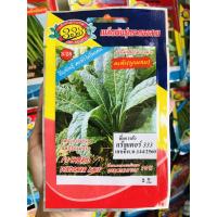 ราคา เคล ไดโนเคล เคลไดโนเสาร์ คะน้าไดโนเคล เมล็ดเคล Dinosaur Kale (7879916582)