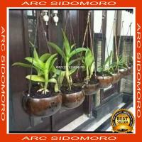 ราคา กระถางเปลือกดอกไม้ตกแต่ง กระถางแขวน กะลามะพร้าว N (28137710944)