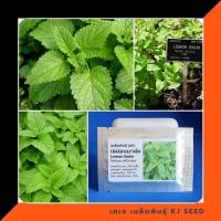 ราคา เลม่อนบาล์ม (สะระแหน่ฝรั่ง) - Lemon Balm บรรจุ 500 เมล็ด คุณภาพดี ราคาถูก ของแท้ 100% (171303590)