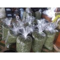 ราคา หญ้าหวานอบแห้ง หญ้าหวาน stevia ปลอดสารพิษ ออแกนิค ใหม่ คุณภาพดี 100% ชาหญ้าหวาน หญ้าหวานลดเบาหวาน ลดความอ้วน (10527210908)