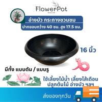 ราคา ขนาด 16 นิ้ว กระถางชวนชม(เจาะรู) / อ่างบัว(ทึบ) สีดำ พลาสติก (24007331743)