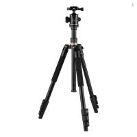 ราคา Andoer 164 ซม./64.57in ขาตั้งกล้องถ่ายภาพ Monopod ขาตั้งอลูมิเนียมอัลลอยด์ 360° หัวบอลหมุนได้ความจุโหลด 8 กก. พร้อมกระเป๋าพกพาสําหรับกล้อง DSLR กล้องวิดีโอ (40650740095)