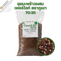 ราคา CocoLite 70/30 - ขุยมะพร้าวผสมเพอร์ไลท์ ขุยมะพร้าว 70% เพอร์ไลท์ 30% ขุยมะพร้าวล้าง EC ต่ำ ผสมเพอร์ไลท์ (41757264614)
