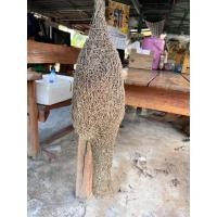 ราคา รังนกกระจาบ ไซด์ใหญ่ (19292114607)