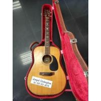 ราคา กีต้าร์โปร่ง ยี่ห้อ Moris W-50 Top Solid - Made in Japan พร้อม Hard Case (27463934808)