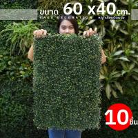 ราคา ชุด10แผ่น หญ้าเทียมติดผนัง ขนาด 40x60cm หญ้าตีนเป็ด หญ้ามิลาน ติดระแนง ติดรั้ว ตกแต่งบ้าน กันแดด (26169467171)