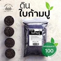 ราคา ใบก้ามปู ใบก้ามปูหมัก ใบก้ามปู ดินใบก้ามปู ดินก้ามปู ดินผสมใบก้ามปู (44002759074)