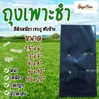 ราคา ถุงเพาะชำ สีดำ ถุงดำปลูกต้นไม้ ถุงปลูกต้นไม้ 1 กก. ถูกที่สุด ส่งไว เนื้อมัน เหนียว หนา คุณภาพดี (1 กก.) (23419753556)