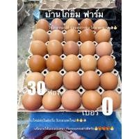 ราคา ไข่ไก่เบอร์0 30ฟอง ส่งฟรีถึงหน้าบ้าน (28122096994)