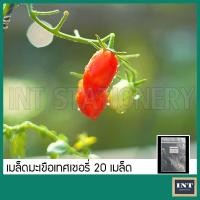 ราคา เมล็ดมะเขือเทศเชอรี่ มะเขือเทศเชอรี่ 20 เมล็ด เมล็ดพันธุ์ผัก เมล็ดผัก เมล็ดพันธุ์มะเขือเทศ ผักสวนครัว (21890632257)