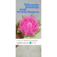ราคา ไม้เสียบธนบัตรต้นเงินต้นกฐินดอกบัวพราวขวัญ10ชิ้น (40761672154)