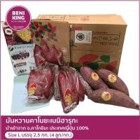 ราคา มันหวานญี่ปุ่น เบนิฮารุกะ ตราเพชร (Size L) 2.5 กก. นำเข้าจาก ประเทศญี่ปุ่น (11777853373)