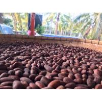 ราคา Cacao Nibs โกโกนิบส์เกรด A ขนาด 500 กรัม แบบเต็มเมล็ด (23386968994)