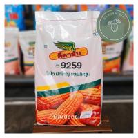 ราคา เมล็ดพันธุ์ข้าวโพดเลี้ยงสัตว์ DK 9259 ขนาด3.5หุน 10kg. โตไว ฝักใหญ่ ผลผลิตสูง (26131163240)