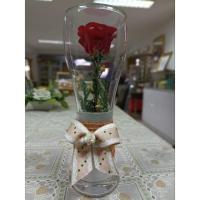 ราคา ดอกไม้สดในโหลแก้ว ดอกเดี่ยวแก้วทรงสูง(ดอกไม้สดถูกสตาปไว้)อยู่ได้นาน3-5ปี ขนาดวัดรอบล่าง19cm. รอบบน26cm. สูง22cm (19537274785)