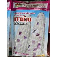 ราคา เมล็ดข้าวโพด เมล็ดข้าวโพดข้าวเหนียว ขาวม่วง ขนาด 500 กรัม ตรา ตะวันต้นกล้า (29802332278)