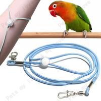 ราคา พร้อมส่งในไทย สายจูงนก แบบยืดหยุ่นได้ ห่วงขานกแก้ว สายเชือกฝึกบิน สายคล้องห่วงเปิด (27132266830)
