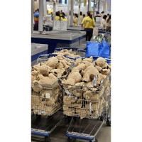 ราคา IKEA ตุ๊กตาหมา GOSIG GOLDEN กูสซิก โกลเด้น สุนัขโกลเด้น ยาว 40 ซม. (40115069582)