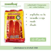 ราคา เมล็ดพันธุ์ข้าวโพดเลี้ยงสัตว์ เมล็ดพันธุ์ข้าวโพดวงศ์ตะวันพืชผล บรรจุ10กิโลกรัม ขนาดเมล็ด3.5หุน เก็บแห้ง (26231036996)